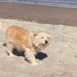 Meet your Posher, Rosa